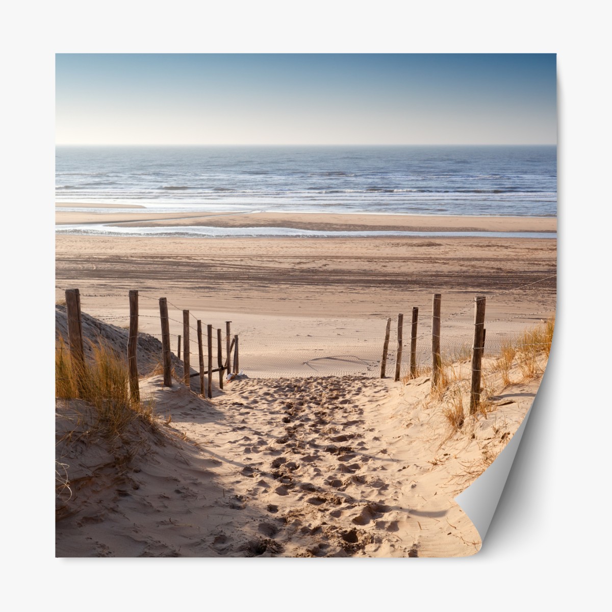 Repositionable sticker sunlit path to the North Sea