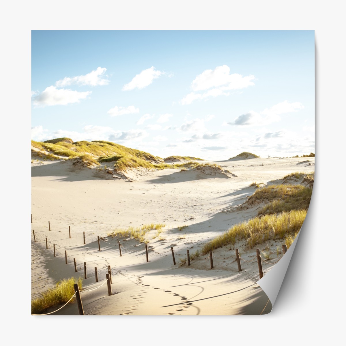 Repositionable sticker tranquil dunes at Slowinski National Park