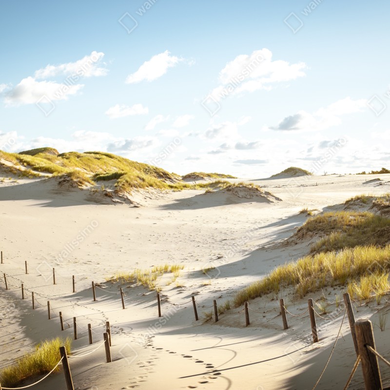 Naklejka repozycjonowalna spokojne wydmy Słowińskiego Parku Narodowego – Wallissimo® Naklejka repozycjonowalna spokojne wydmy Słowińskiego Parku Narodowego – Wallissimo®