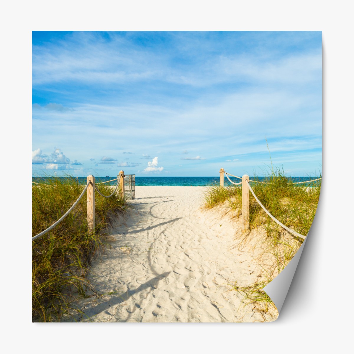 Repositionable sticker sandy path to the sea, Miami