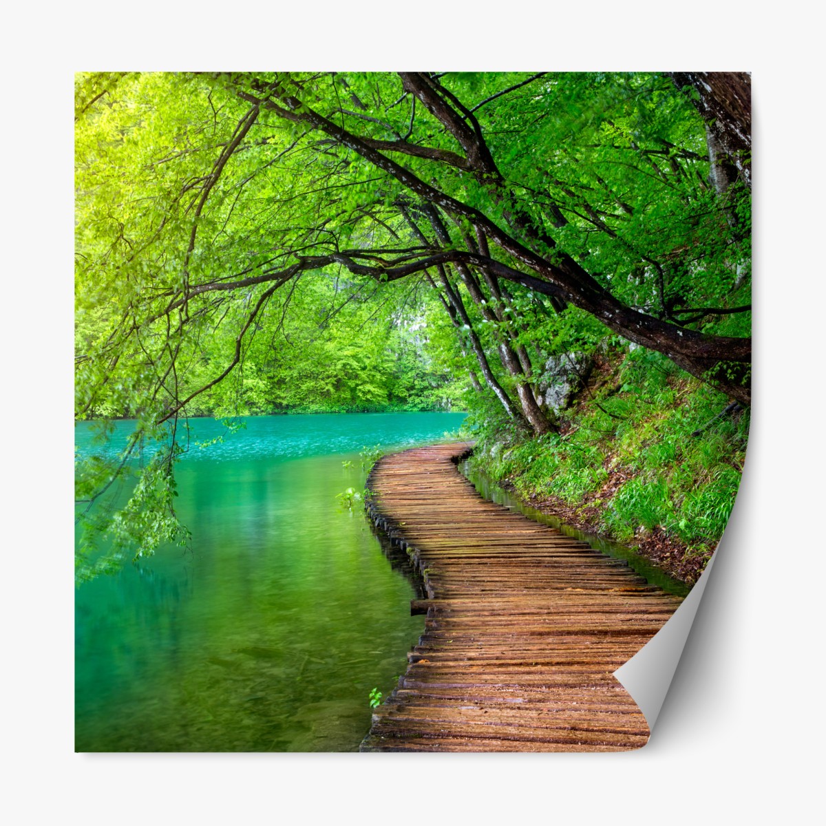 Repositionable sticker serene lakeside wooden walkway through green forest