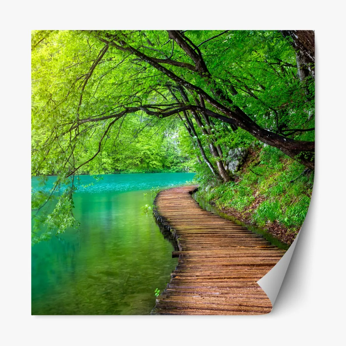 Naklejka repozycjonowalna spokojny drewniany pomost nad jeziorem w zielonym lesie – Wallissimo® Naklejka repozycjonowalna spokojny drewniany pomost nad jeziorem w zielonym lesie – Wallissimo®