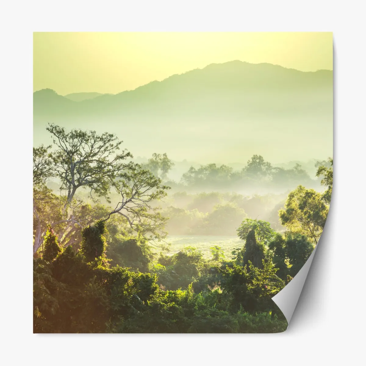 Naklejka repozycjonowalna mglista dżungla Wietnamu o wschodzie słońca – Wallissimo® Naklejka repozycjonowalna mglista dżungla Wietnamu o wschodzie słońca – Wallissimo®