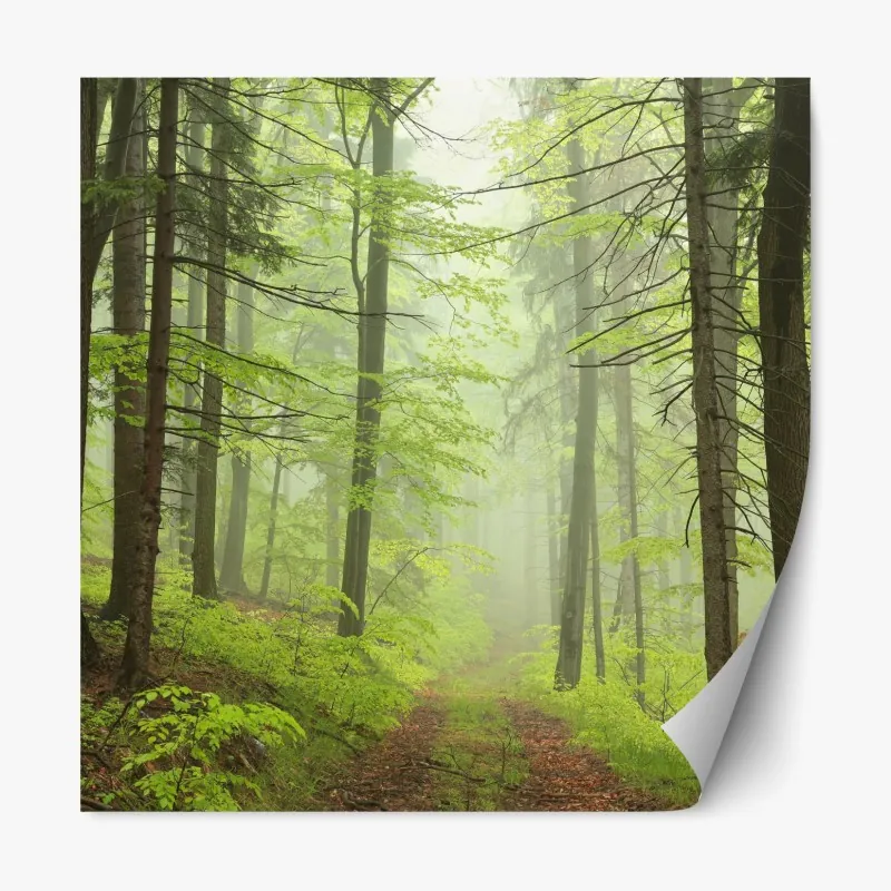 Naklejka repozycjonowalna abstrakcyjny wzór fasady architektonicznej – Wallissimo®