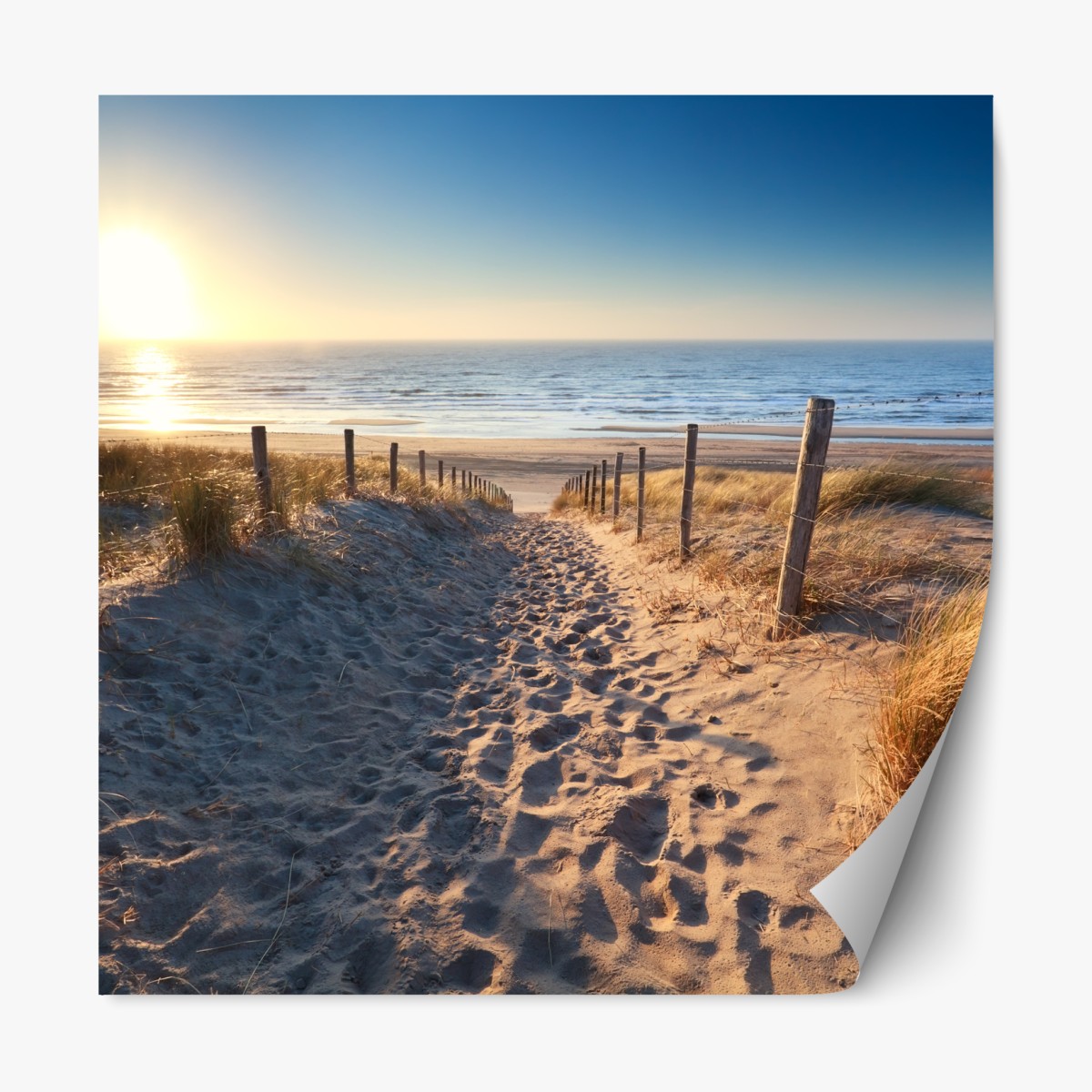 Repositionable sticker sunset path to the sea in Zandvoort