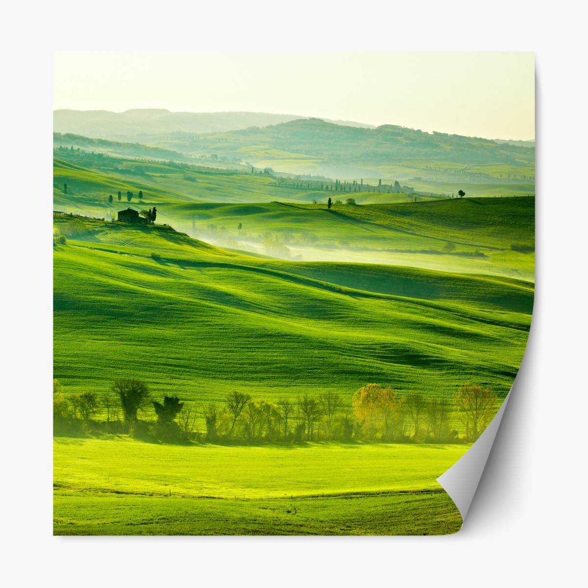 Repositionable sticker sunlit rolling hills of Tuscany
