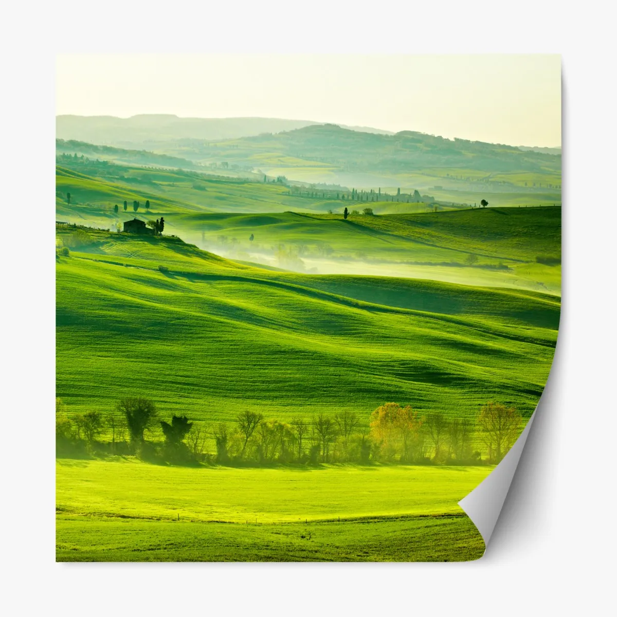 Naklejka repozycjonowalna słoneczne falujące wzgórza Toskanii – Wallissimo® Naklejka repozycjonowalna słoneczne falujące wzgórza Toskanii – Wallissimo®