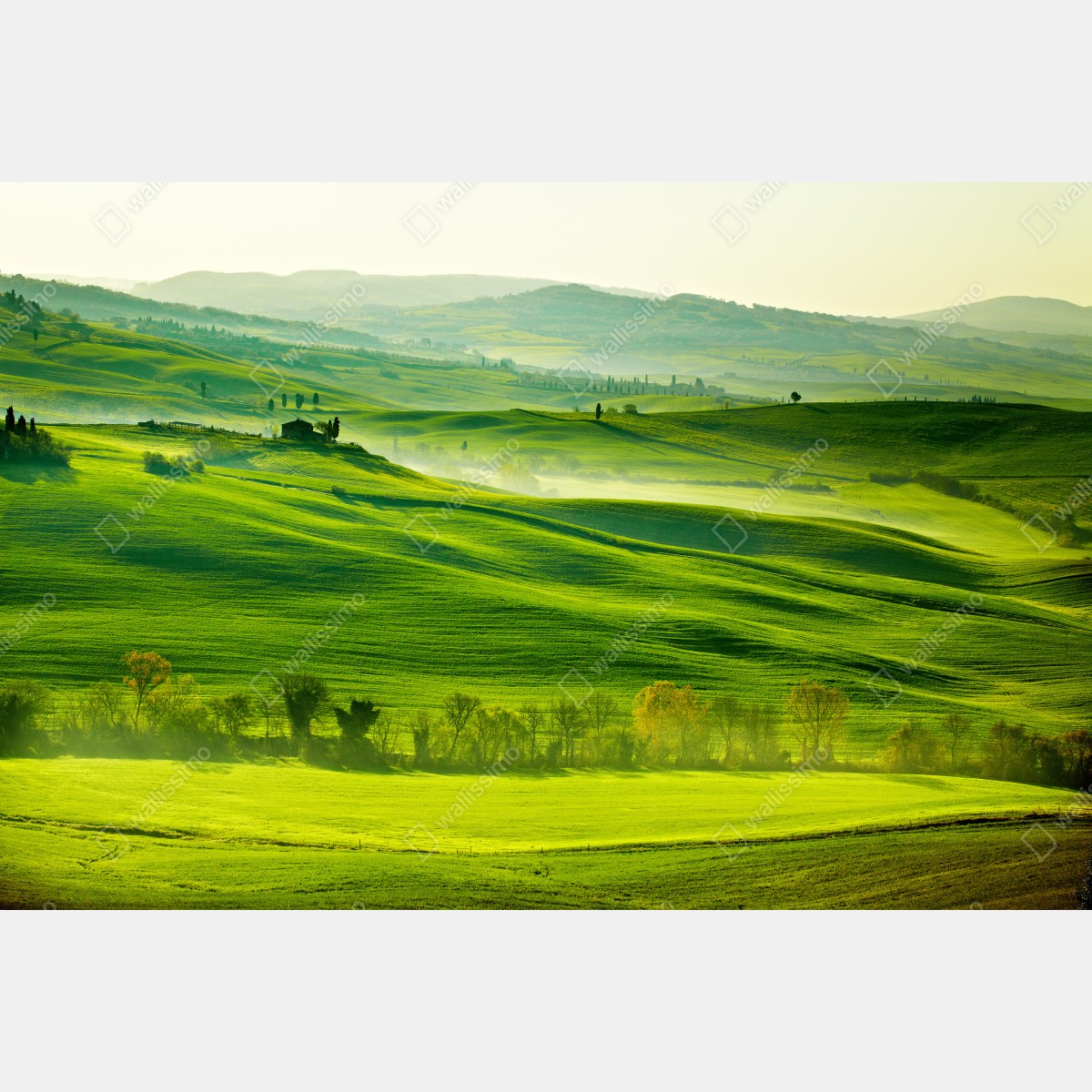 Naklejka repozycjonowalna słoneczne falujące wzgórza Toskanii – Wallissimo® Naklejka repozycjonowalna słoneczne falujące wzgórza Toskanii – Wallissimo®