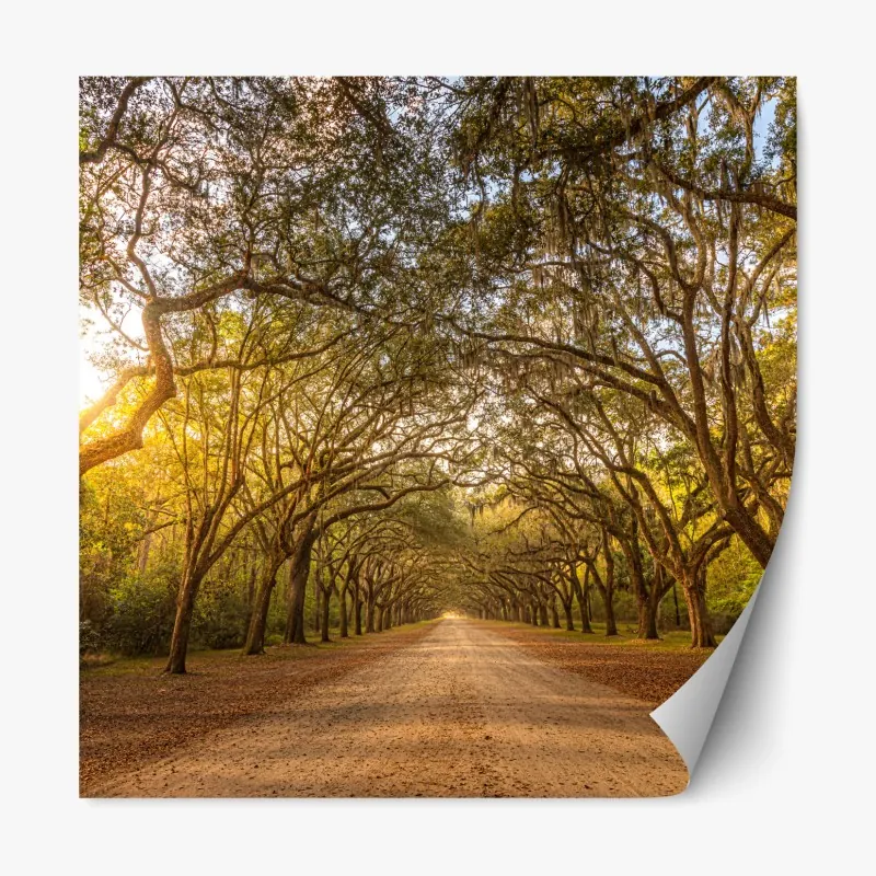 Naklejka repozycjonowalna tradycyjna ebru abstrakcja w purpurze i pomarańczy – Wallissimo®