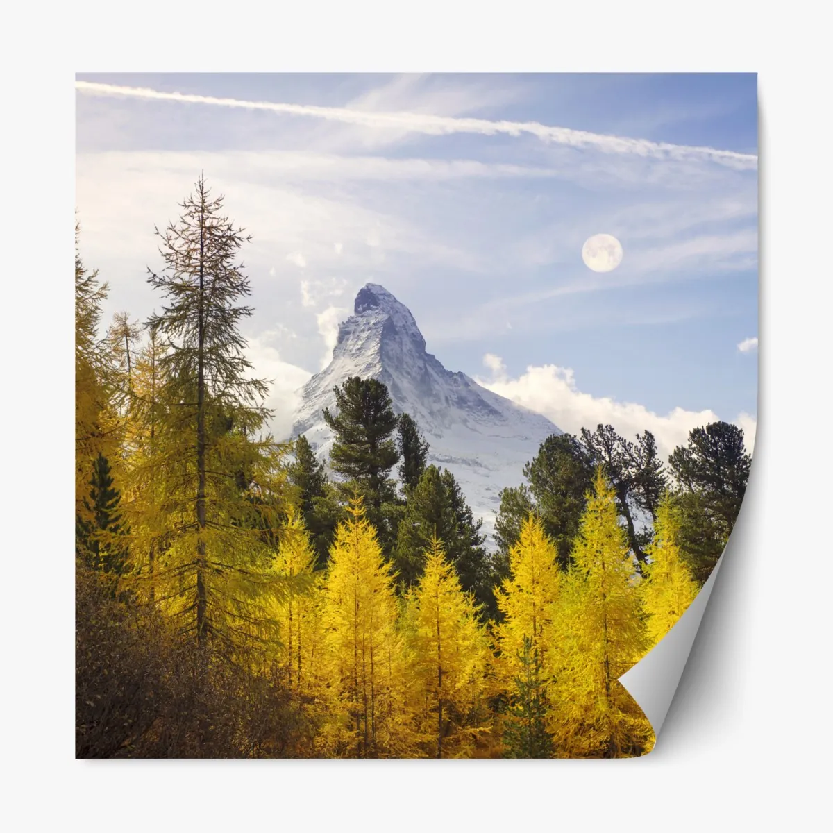 Naklejka repozycjonowalna złote modrzewie i Matterhorn – Wallissimo® Naklejka repozycjonowalna złote modrzewie i Matterhorn – Wallissimo®