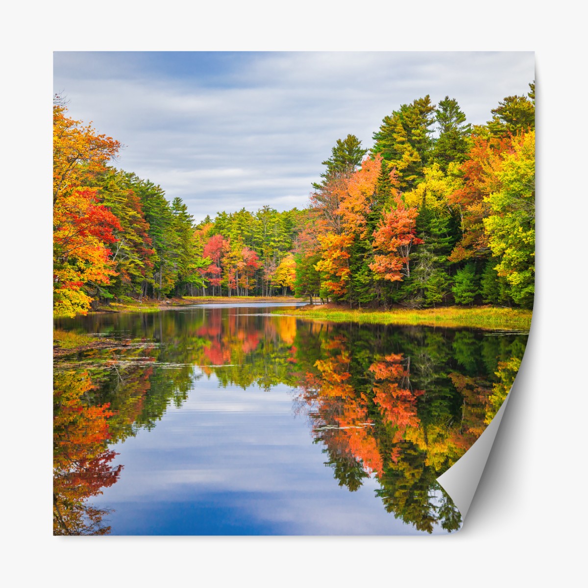 Repositionable sticker autumn reflections in New England