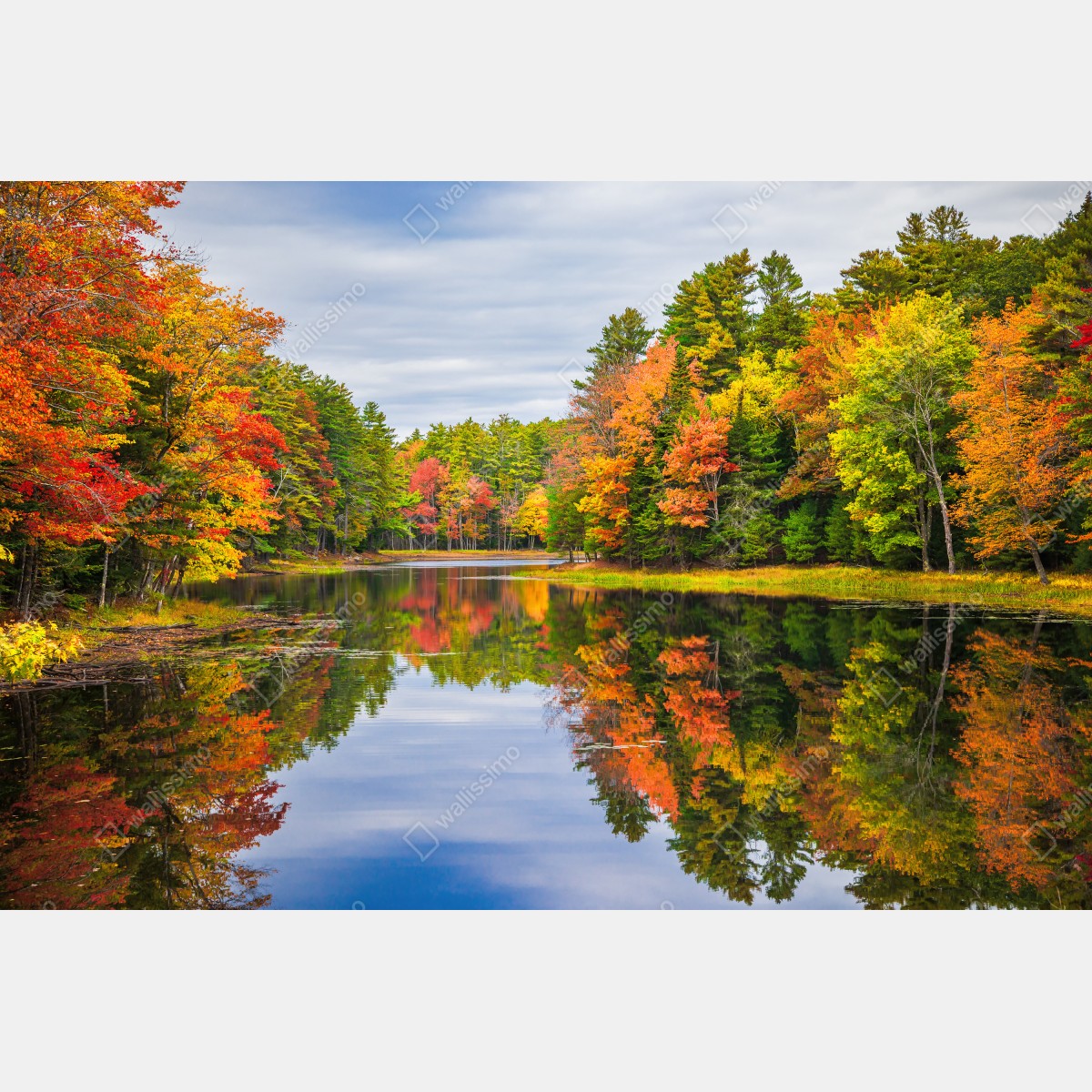 Naklejka repozycjonowalna jesienne odbicia w Nowej Anglii – Wallissimo® Naklejka repozycjonowalna jesienne odbicia w Nowej Anglii – Wallissimo®
