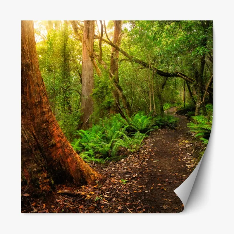 Naklejka repozycjonowalna złoty zachód słońca nad spokojną plażą – Wallissimo®