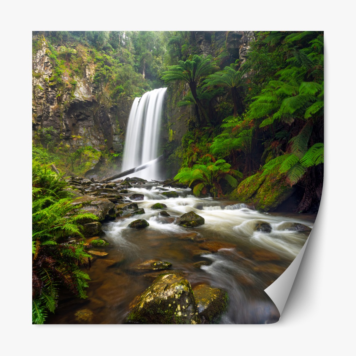 Repositionable sticker lush green waterfall in fern-filled forest
