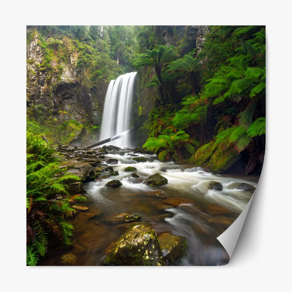 Naklejka repozycjonowalna lśniący wodospad w lesie pełnym paproci – Wallissimo® Naklejka repozycjonowalna lśniący wodospad w lesie pełnym paproci – Wallissimo®