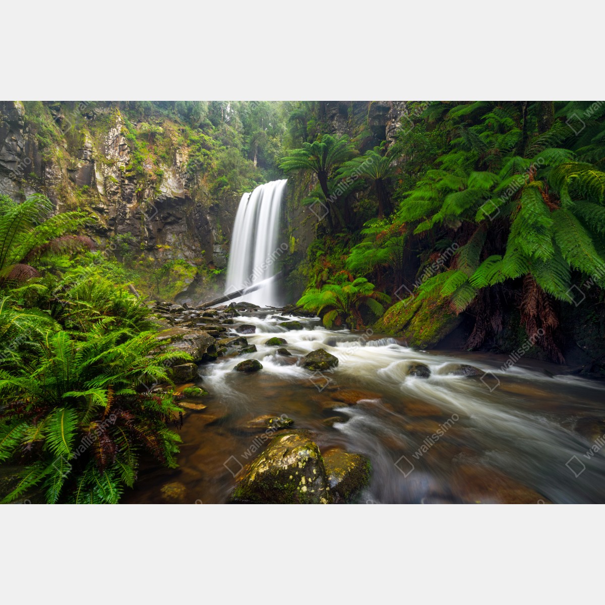 Naklejka repozycjonowalna lśniący wodospad w lesie pełnym paproci – Wallissimo® Naklejka repozycjonowalna lśniący wodospad w lesie pełnym paproci – Wallissimo®