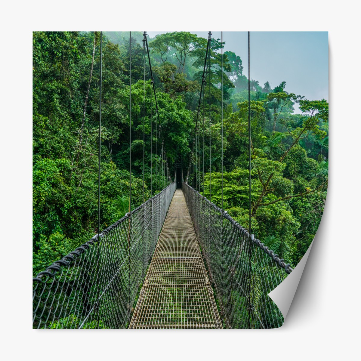 Repositionable sticker suspension canopy bridge through lush rainforest