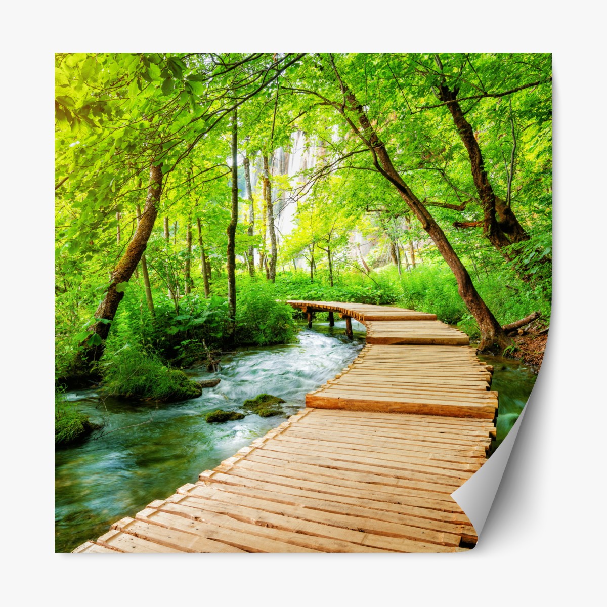 Repositionable sticker wooden boardwalk through Plitvice Lakes