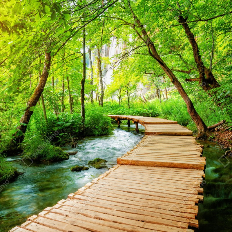 Naklejka repozycjonowalna drewniany pomost w Plitwickich Jeziorach – Wallissimo® Naklejka repozycjonowalna drewniany pomost w Plitwickich Jeziorach – Wallissimo®