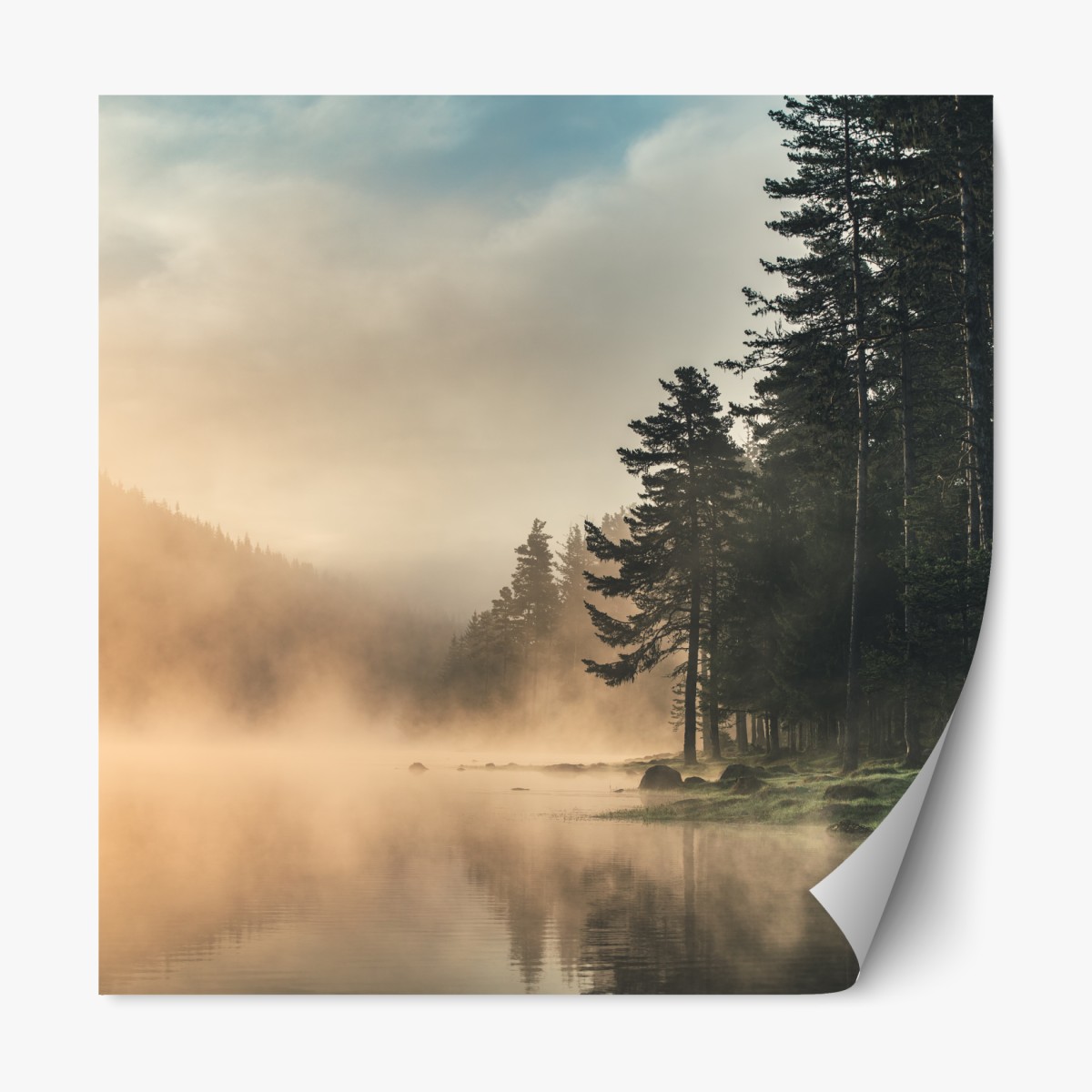 Repositionable sticker misty sunrise over forest lake