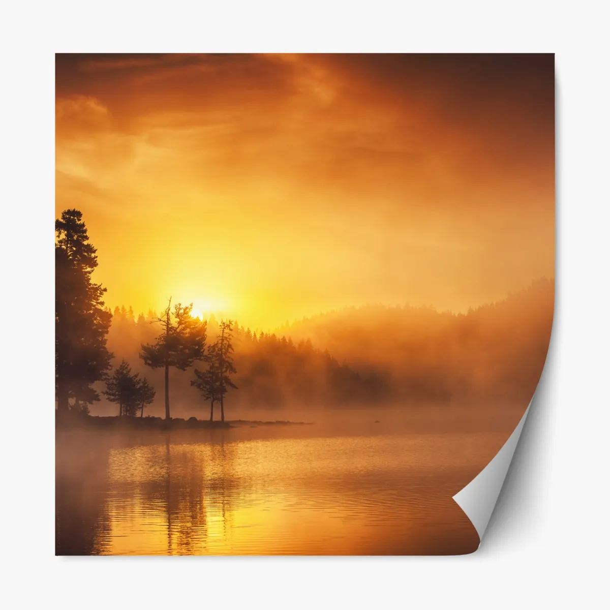 Naklejka repozycjonowalna złoty wschód słońca nad mglistym jeziorem – Wallissimo® Naklejka repozycjonowalna złoty wschód słońca nad mglistym jeziorem – Wallissimo®