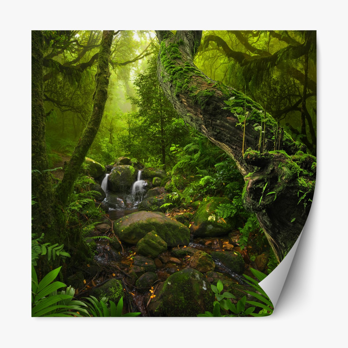 Repositionable sticker mossy forest stream at dawn
