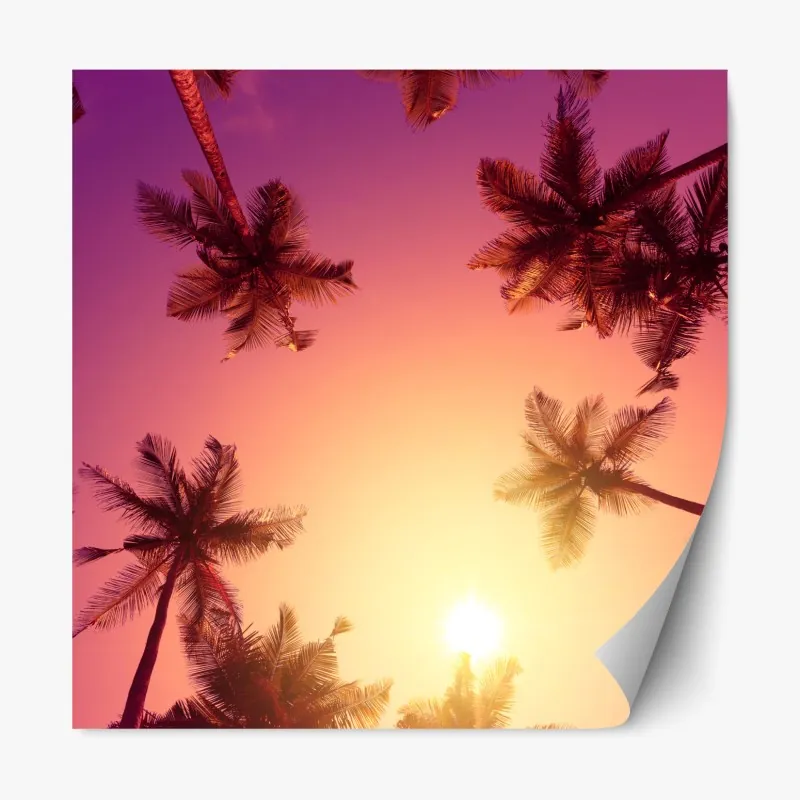 Naklejka repozycjonowalna tropikalny zachód słońca z sylwetkami palm