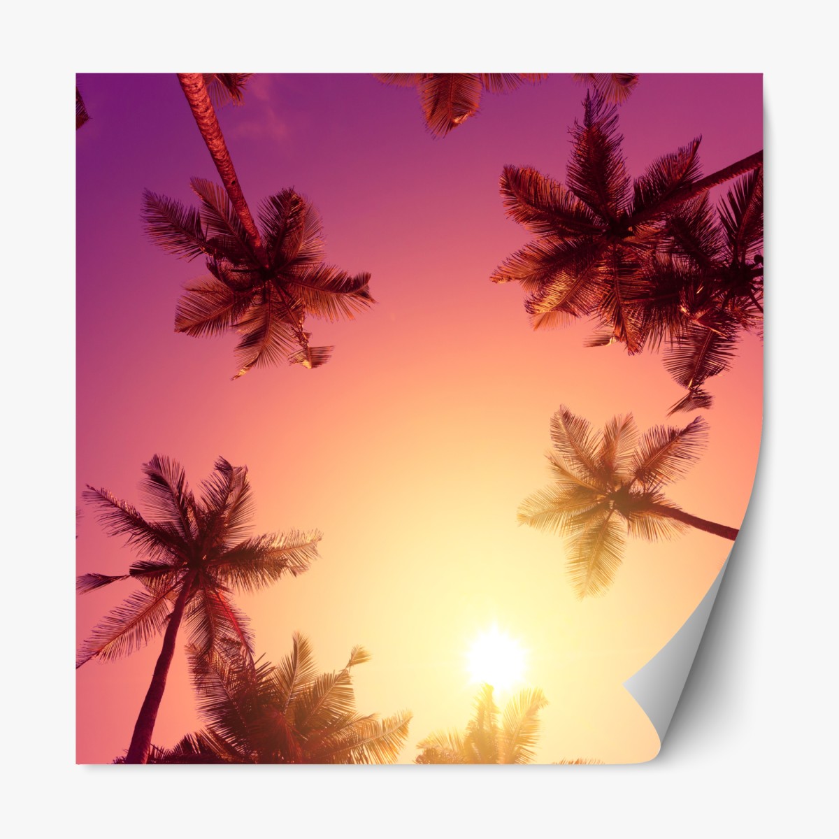 Repositionable sticker vivid tropical sunset with palm silhouettes