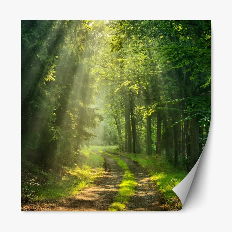 Naklejka repozycjonowalna delikatna frezja w monochromie – Wallissimo®