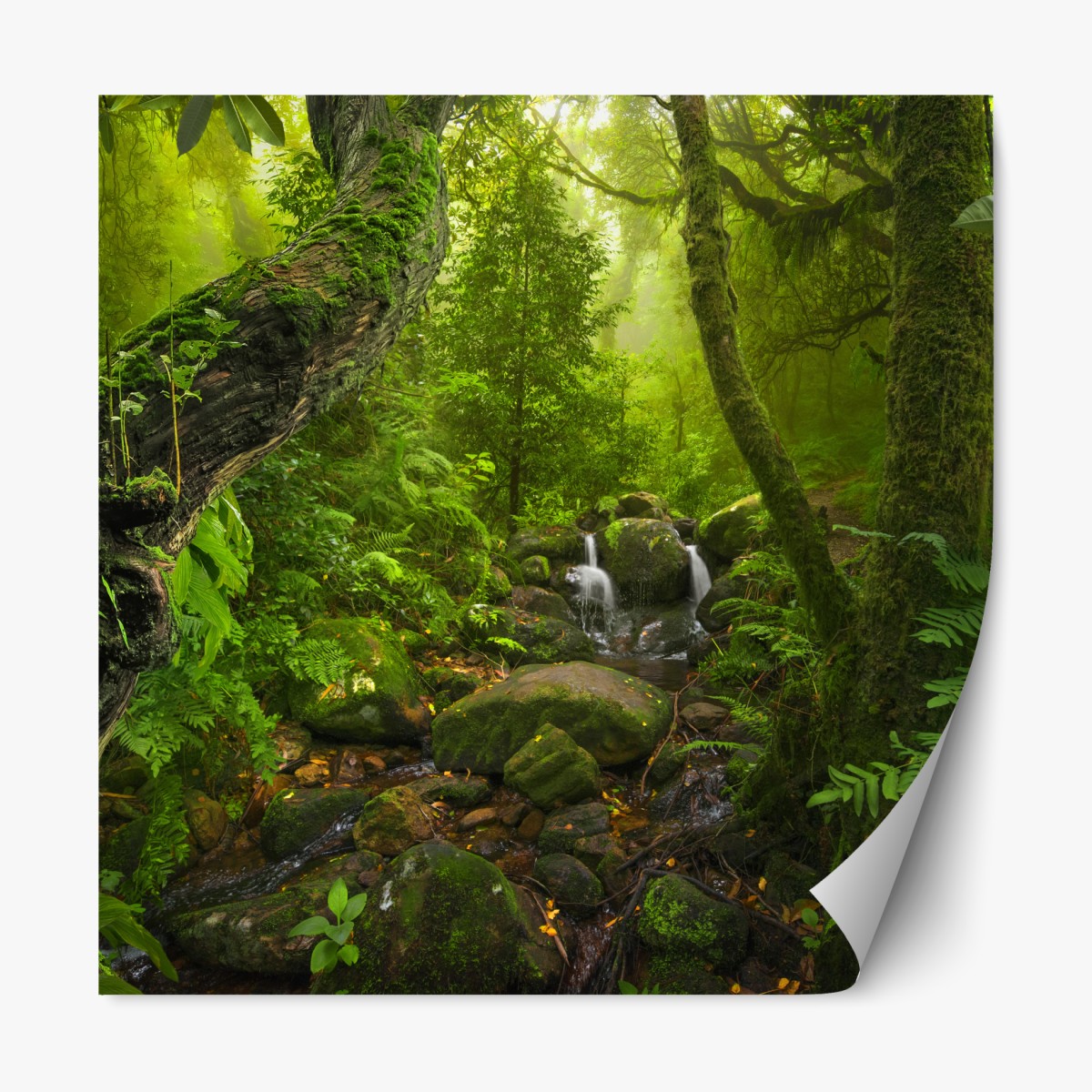 Repositionable sticker lush green forest stream