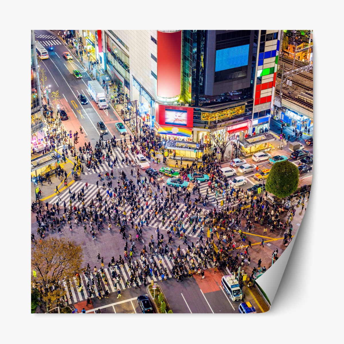 Repositionable sticker Shibuya crossing night cityscape