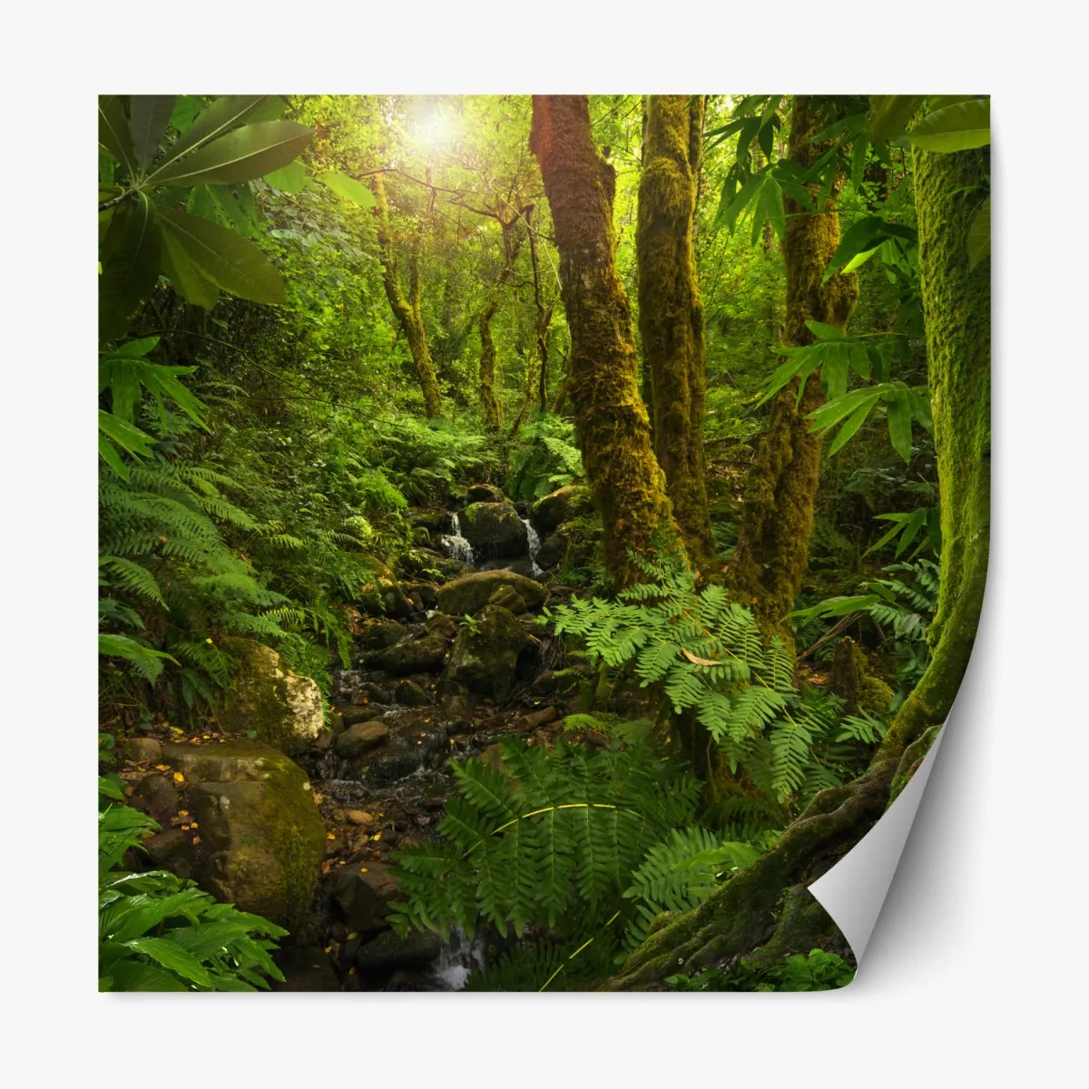 Naklejka repozycjonowalna porośnięty mchem leśny potok – Wallissimo® Naklejka repozycjonowalna porośnięty mchem leśny potok – Wallissimo®