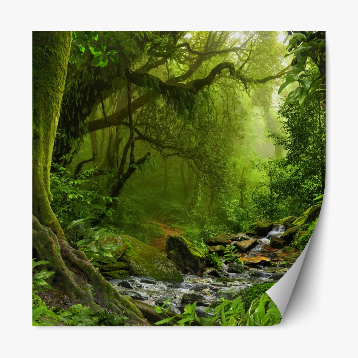 Repositionable sticker enchanted green forest stream
