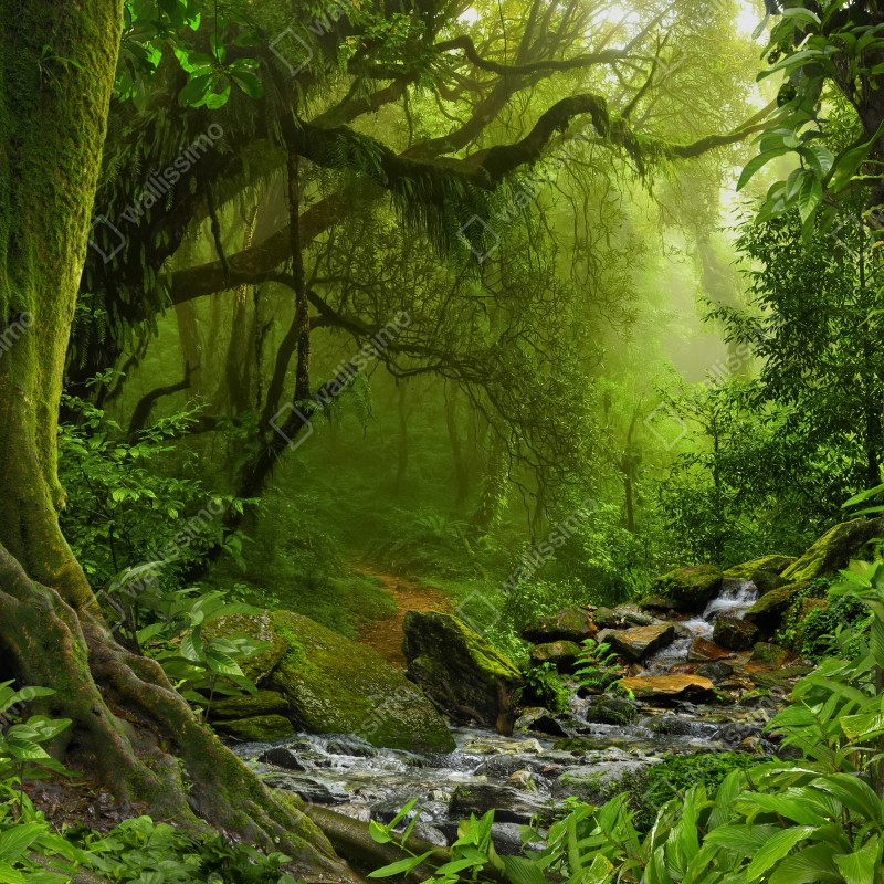 Naklejka repozycjonowalna zaczarowany zielony leśny strumień – Wallissimo® Naklejka repozycjonowalna zaczarowany zielony leśny strumień – Wallissimo®