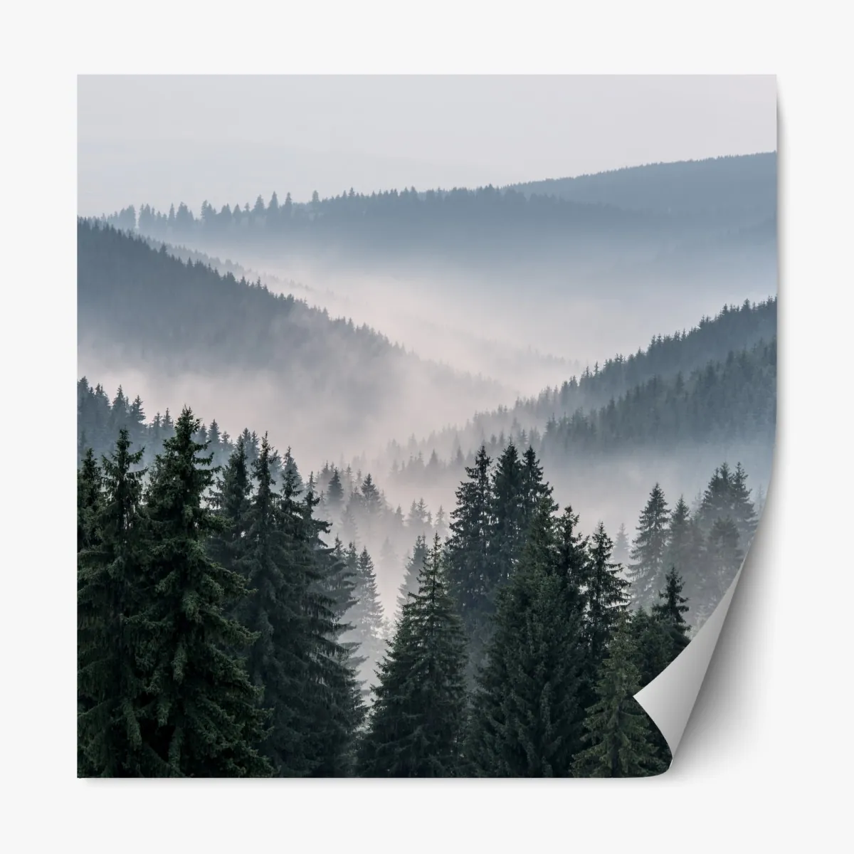 Naklejka repozycjonowalna mglisty górski las – Wallissimo® Naklejka repozycjonowalna mglisty górski las – Wallissimo®