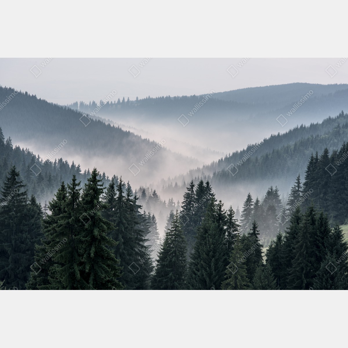 Naklejka repozycjonowalna mglisty górski las – Wallissimo® Naklejka repozycjonowalna mglisty górski las – Wallissimo®