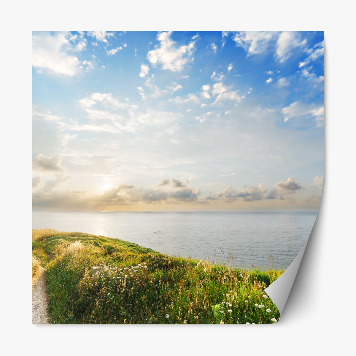 Repositionable sticker sunlit coastal path to the sea