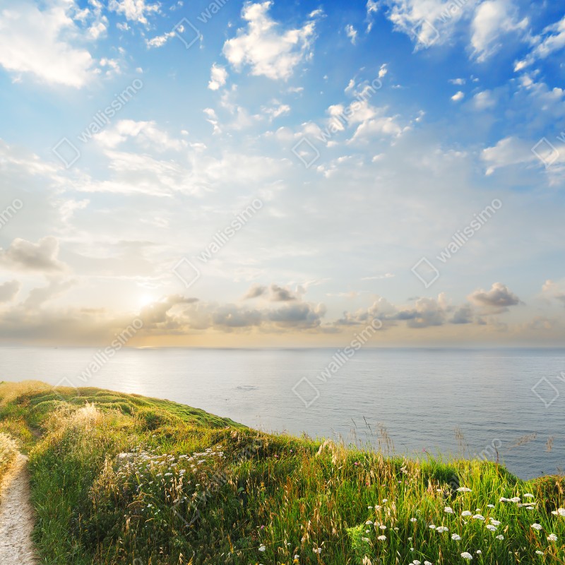 Naklejka repozycjonowalna słoneczna nadmorska ścieżka prowadząca do morza – Wallissimo® Naklejka repozycjonowalna słoneczna nadmorska ścieżka prowadząca do morza – Wallissimo®