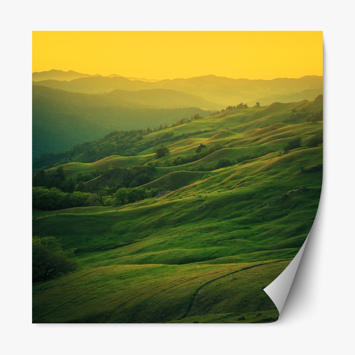 Repositionable sticker northern California rolling hills at sunset