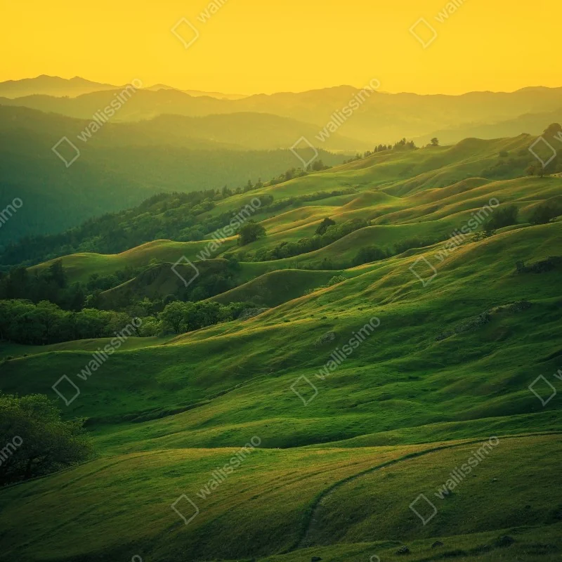 Naklejka repozycjonowalna falujące wzgórza Północnej Kalifornii o zachodzie słońca – Wallissimo® Naklejka repozycjonowalna falujące wzgórza Północnej Kalifornii o zachodzie słońca – Wallissimo®