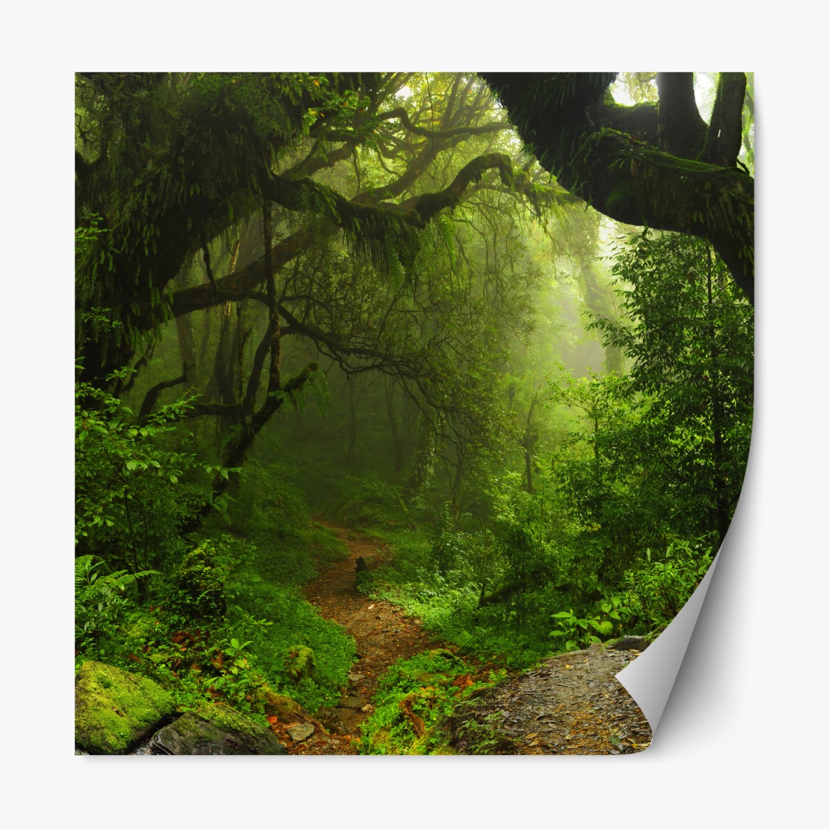 Repositionable sticker enchanted mossy forest pathway