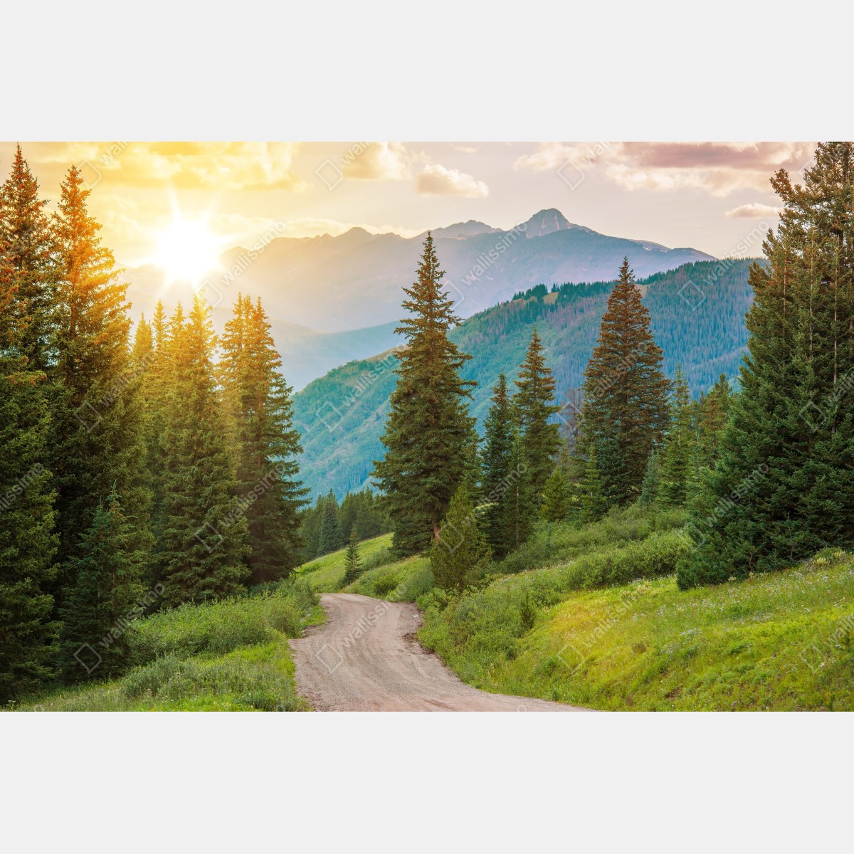 Naklejka repozycjonowalna Colorado górska ścieżka o wschodzie słońca – Wallissimo® Naklejka repozycjonowalna Colorado górska ścieżka o wschodzie słońca – Wallissimo®