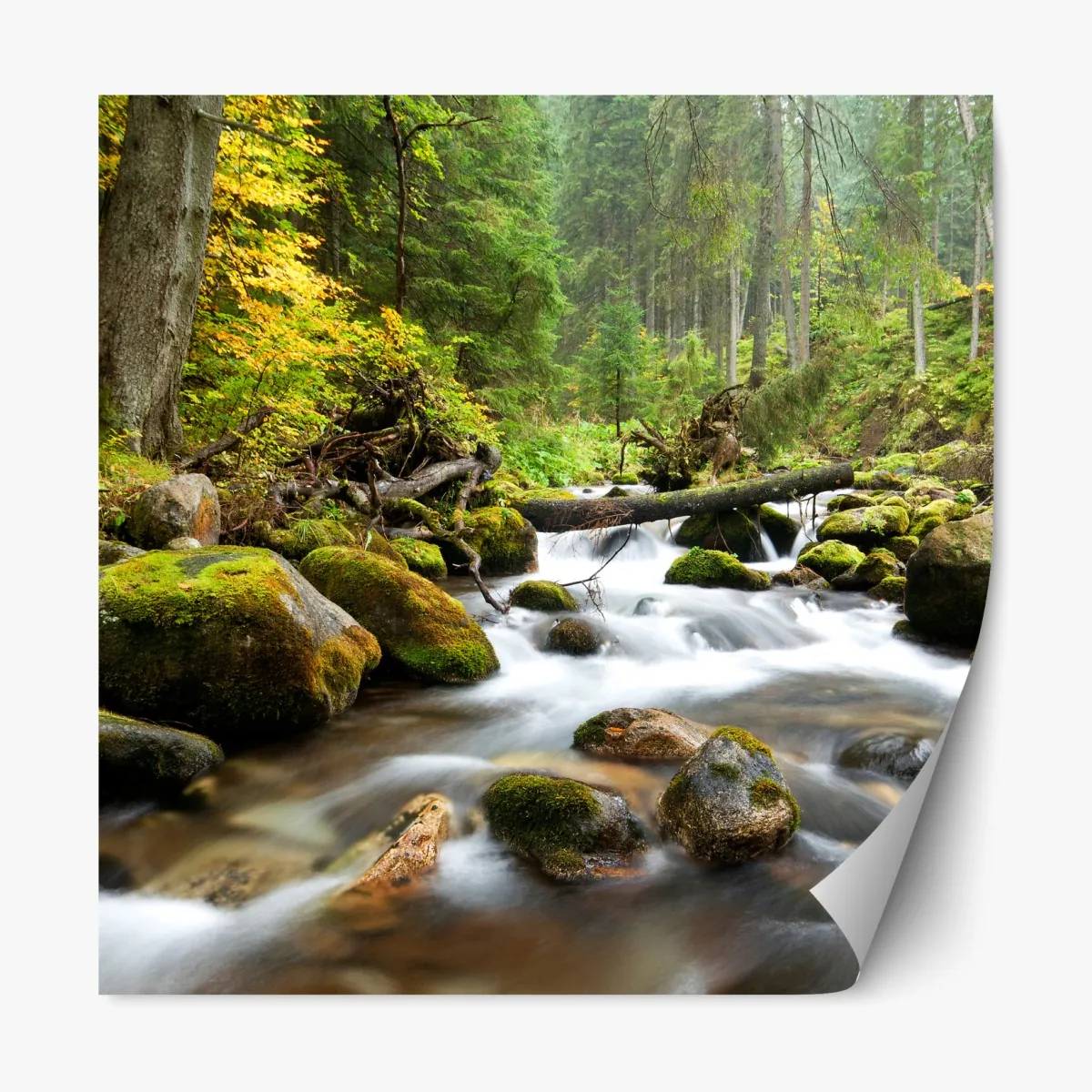 Naklejka repozycjonowalna porośnięty mchem strumień leśny – Wallissimo® Naklejka repozycjonowalna porośnięty mchem strumień leśny – Wallissimo®