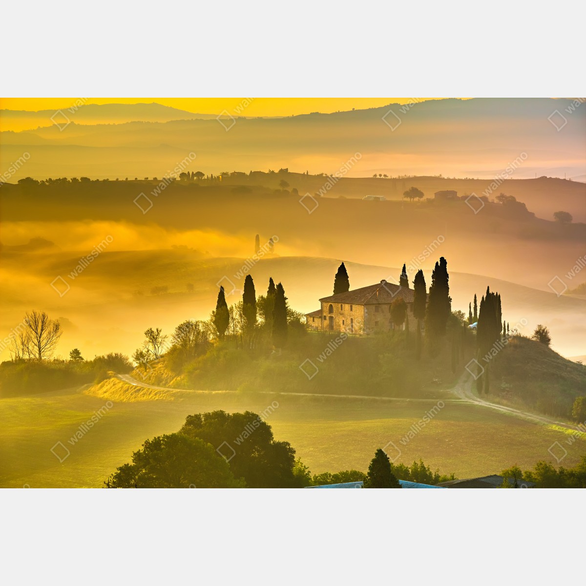 Naklejka repozycjonowalna Toskania o świcie nad złotymi wzgórzami – Wallissimo® Naklejka repozycjonowalna Toskania o świcie nad złotymi wzgórzami – Wallissimo®