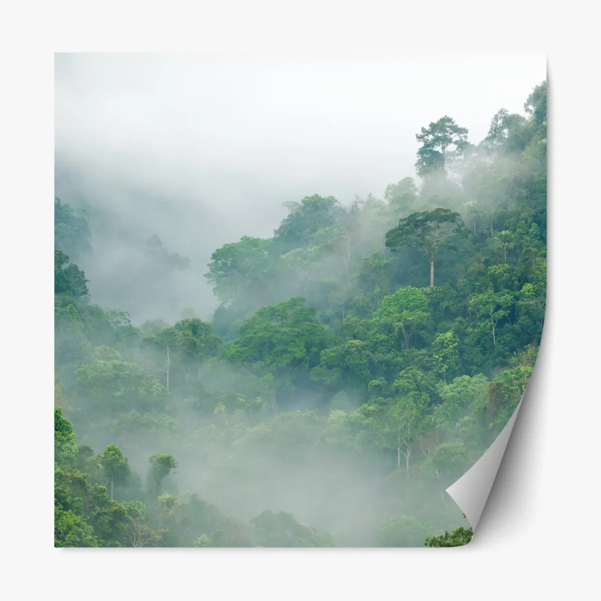 Naklejka repozycjonowalna poranna mgła nad Kaeng Krachan – Wallissimo® Naklejka repozycjonowalna poranna mgła nad Kaeng Krachan – Wallissimo®