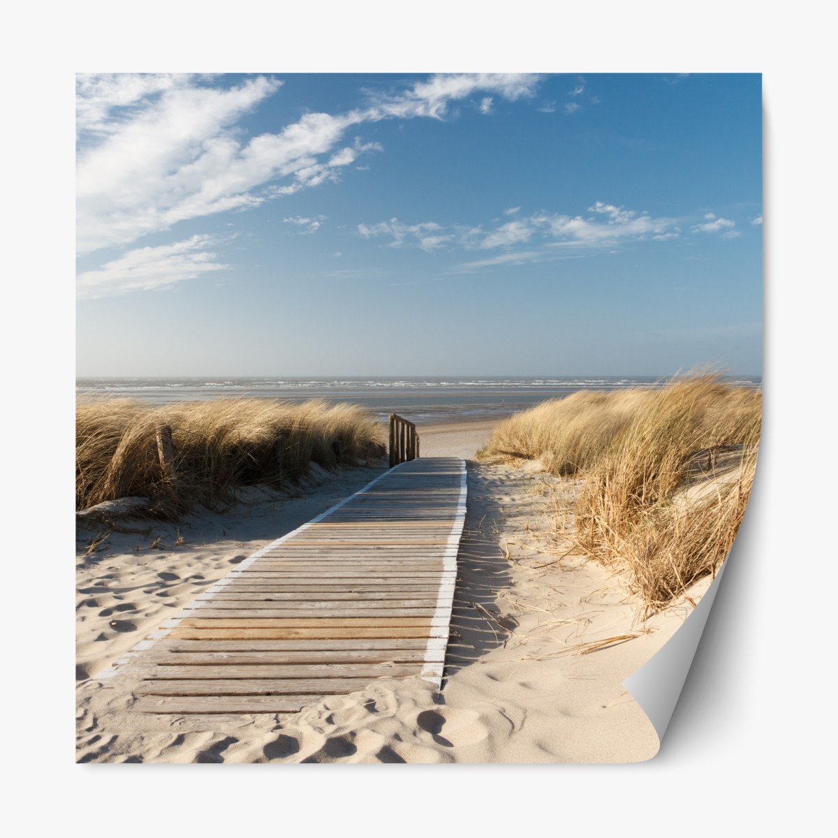 Repositionable sticker coastal boardwalk to the sea