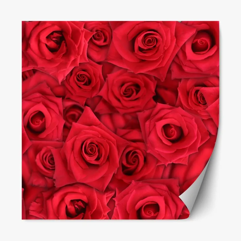 Naklejka repozycjonowalna ściana z mchem na ceglanej strukturze – Wallissimo®