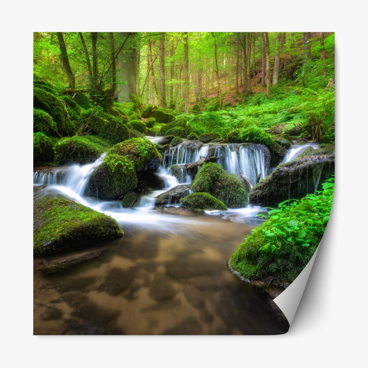 Repositionable sticker tranquil mossy forest waterfall