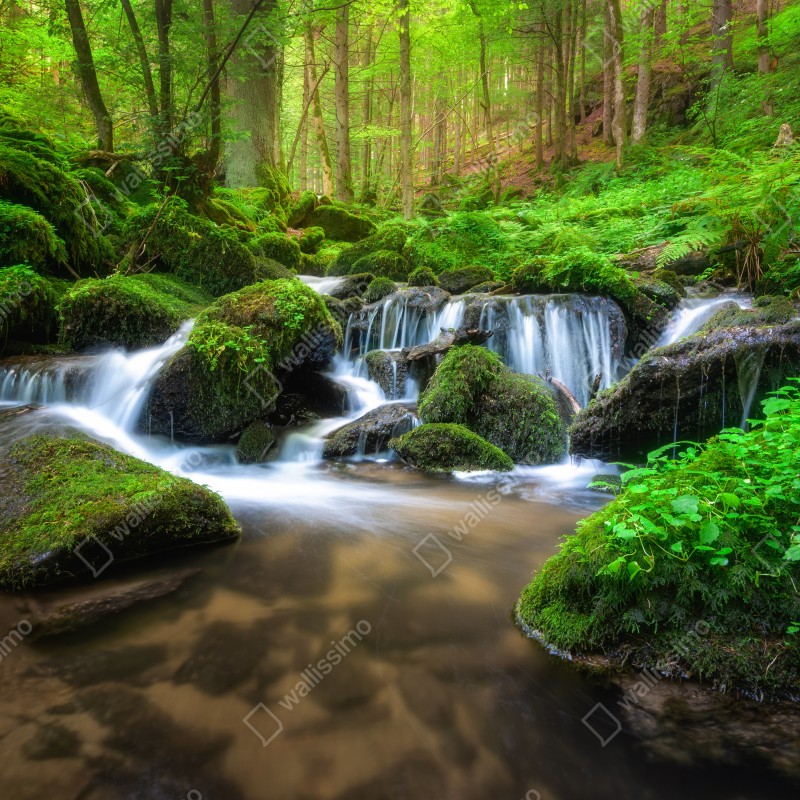 Naklejka repozycjonowalna spokojny mechowy wodospad w lesie – Wallissimo® Naklejka repozycjonowalna spokojny mechowy wodospad w lesie – Wallissimo®