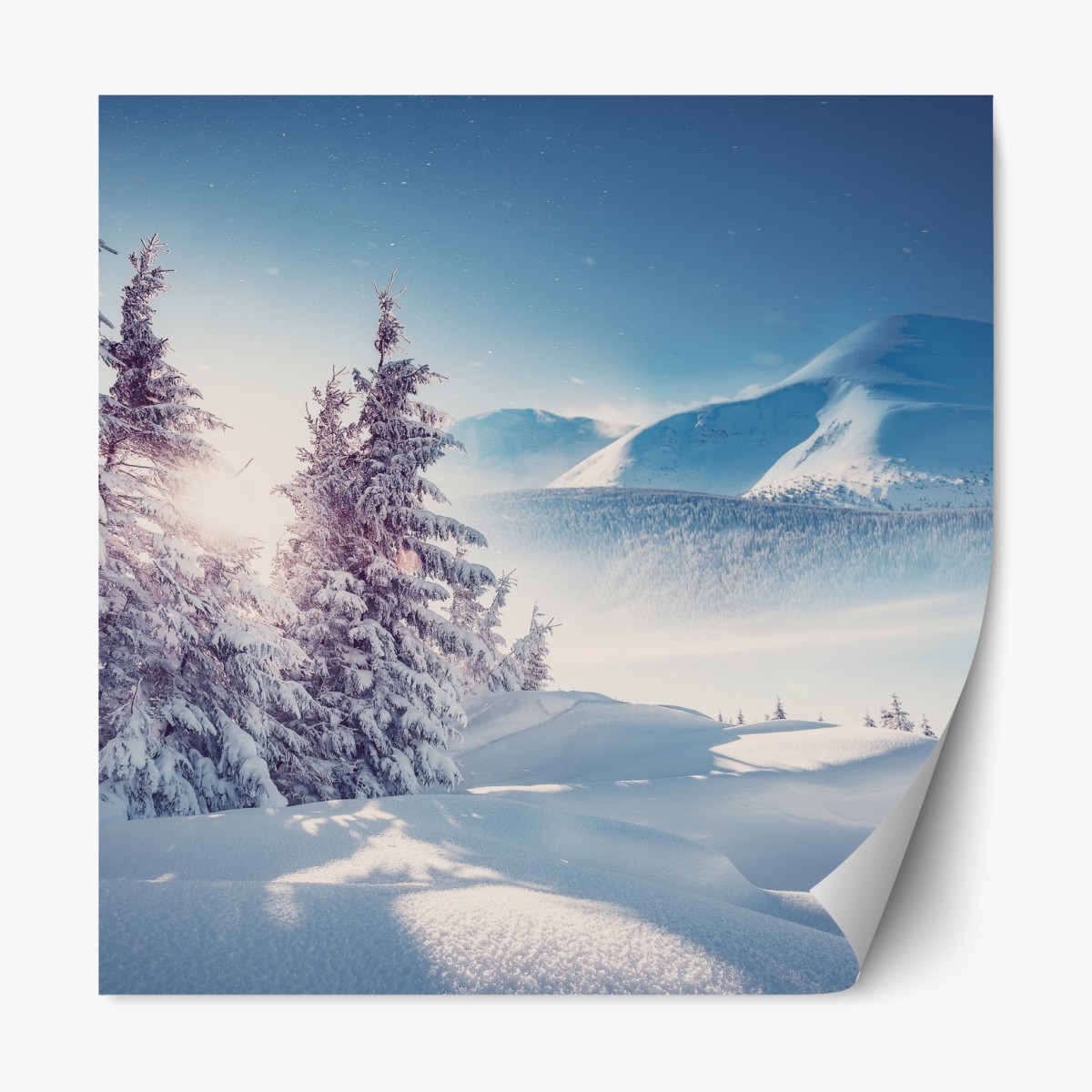 Repositionable sticker majestic Carpathian winter landscape